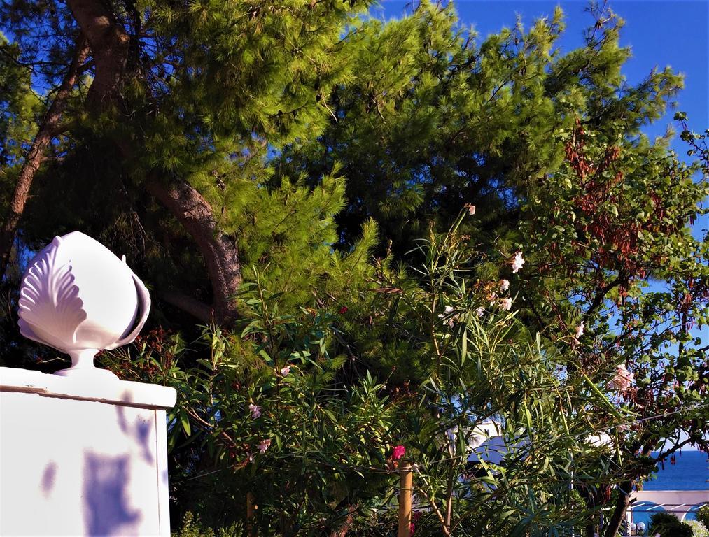 Le Due Pigne (Adults Only) Villa Taranto Kültér fotó
